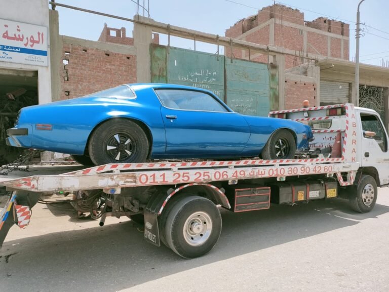 منيل شيحة